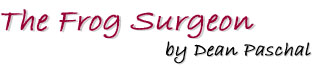 The Frog Surgeon by Dean Paschal,